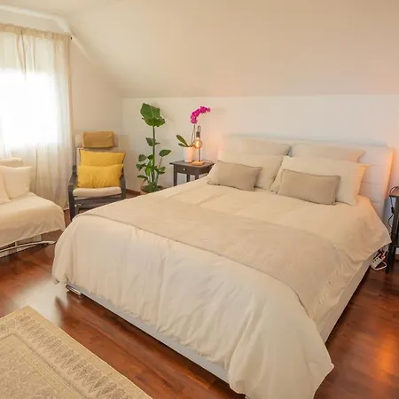 Nyaraló Vineyard Jelenov Hrib