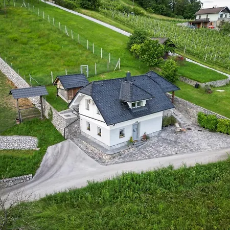 Vineyard Jelenov Hrib *