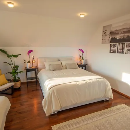 Vineyard Jelenov Hrib Nyaraló Smarjeske Toplice