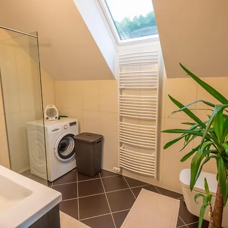 Vineyard Jelenov Hrib Smarjeske Toplice