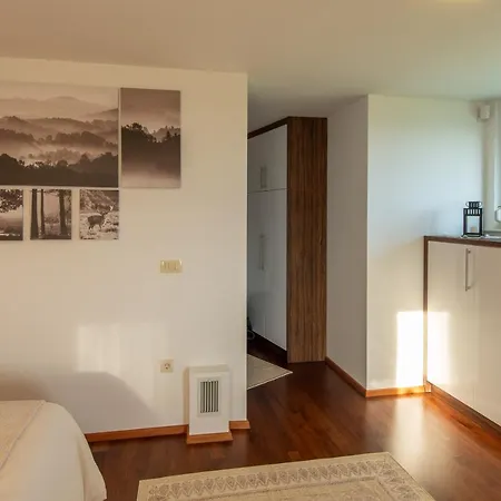 Vineyard Jelenov Hrib Nyaraló Smarjeske Toplice