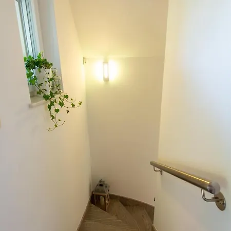 Nyaraló Vineyard Jelenov Hrib