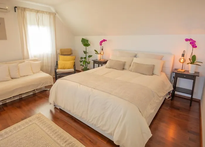 Hébergement de vacances Vineyard Jelenov Hrib