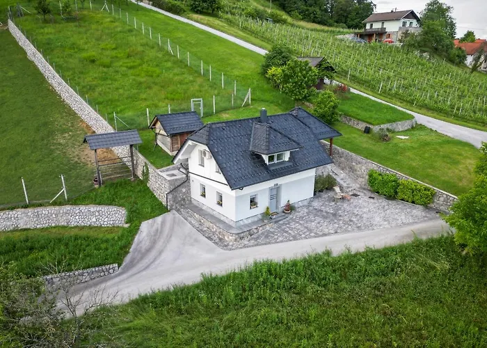 Vineyard Jelenov Hrib *