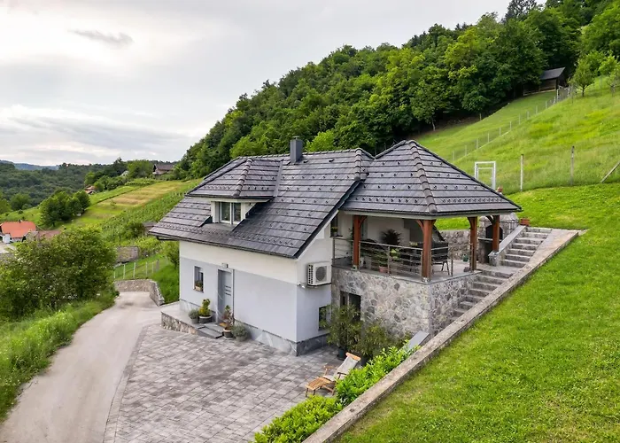 Vineyard Jelenov Hrib Smarjeske Toplice