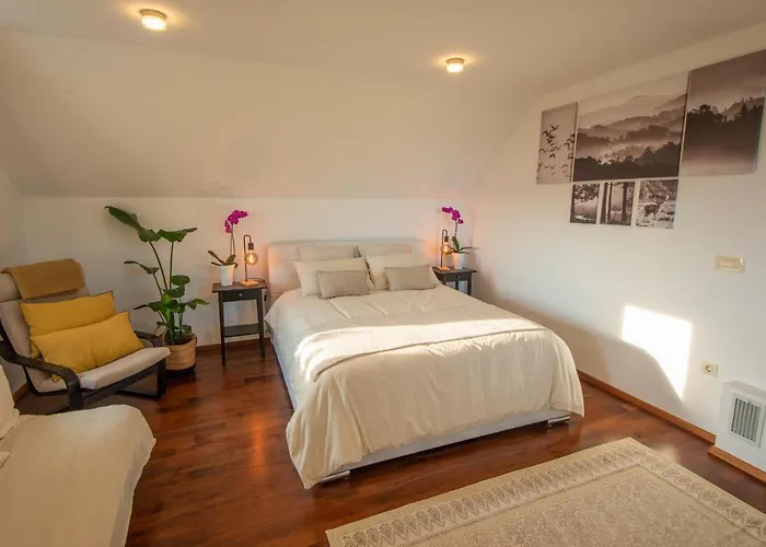 Vineyard Jelenov Hrib Hébergement de vacances Smarjeske Toplice