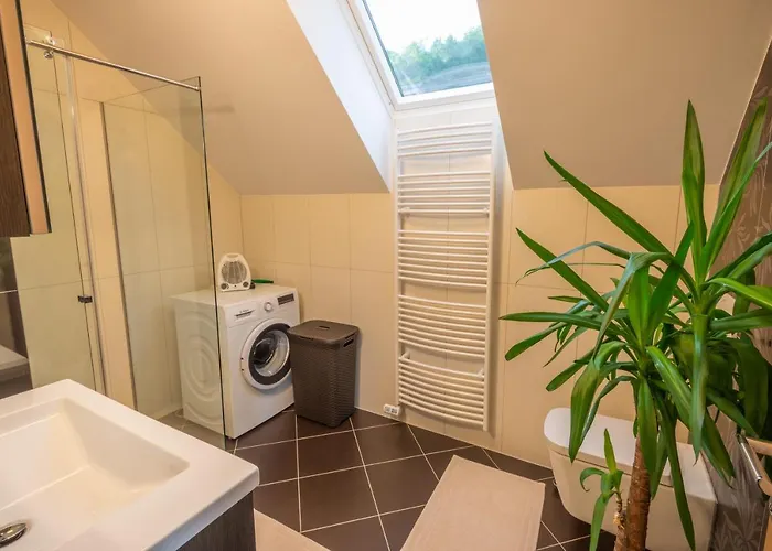 Vineyard Jelenov Hrib Smarjeske Toplice