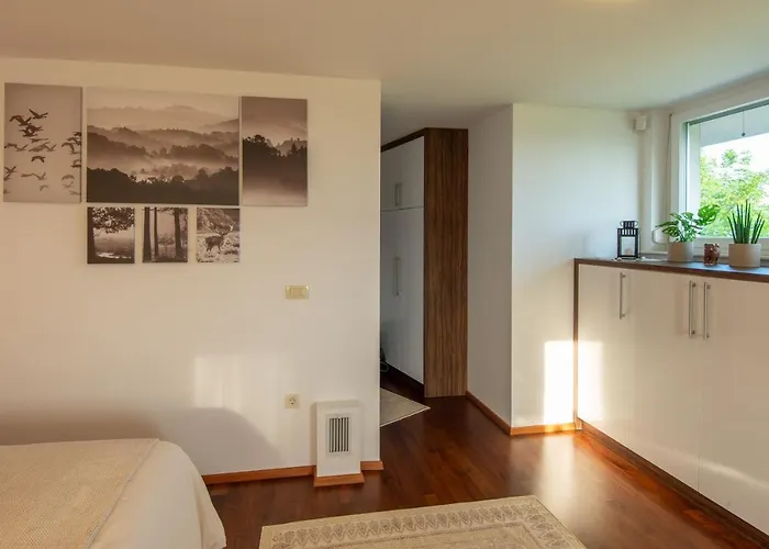 Vineyard Jelenov Hrib Prázdninový dům Šmarješke Toplice