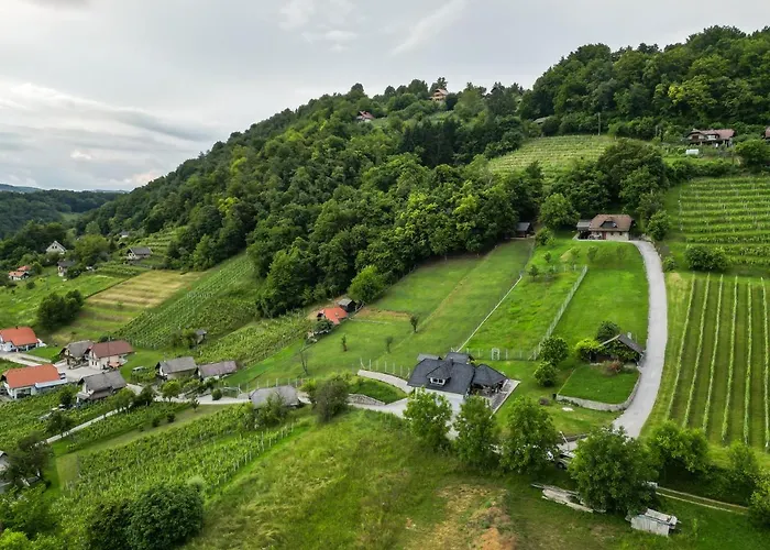 Vineyard Jelenov Hrib * Smarjeske Toplice