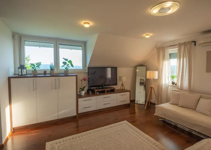 Vineyard Jelenov Hrib *