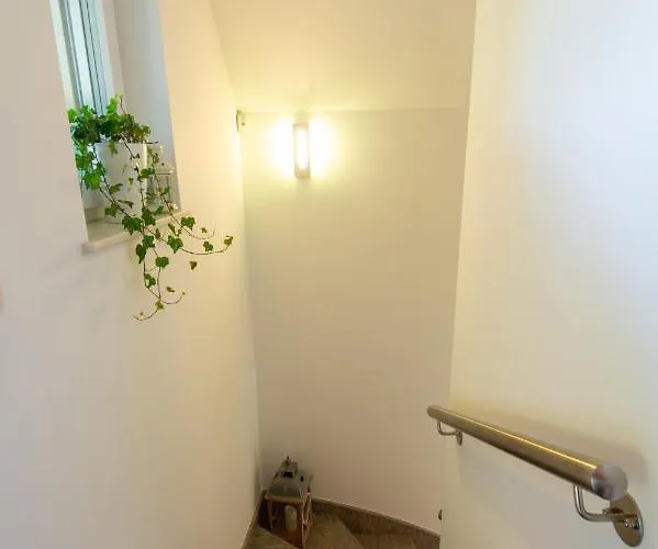 Prázdninový dům Vineyard Jelenov Hrib